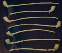 Clay Pipes